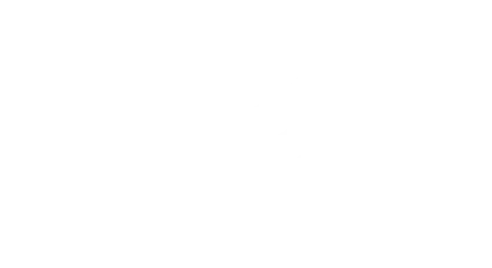 PepsiCo